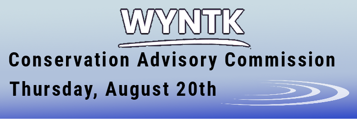 WYNTK - CAC copy.webp