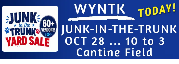 WYNTK - Junk in the Trunk copy.webp