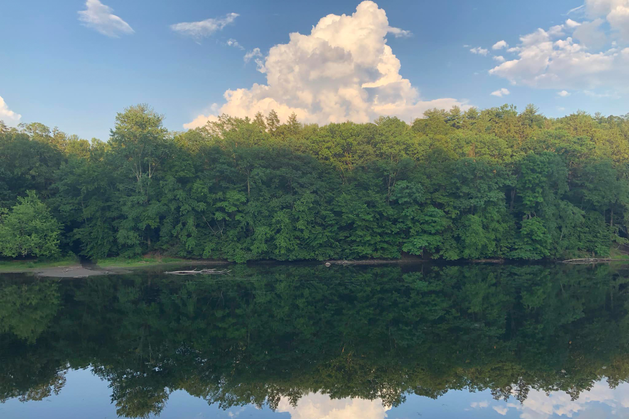 Esopus Creek Reflections - Eric Glass.jpg