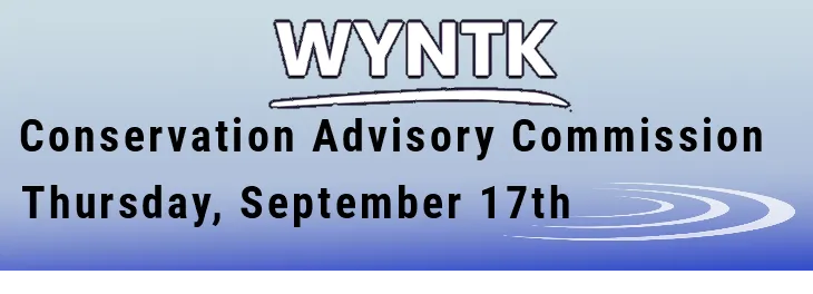 WYNTK - CAC copy.webp