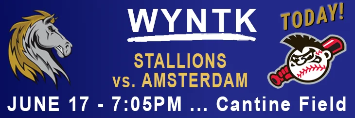 WYNTK - Stallions Home Game Amsterdam copy.webp