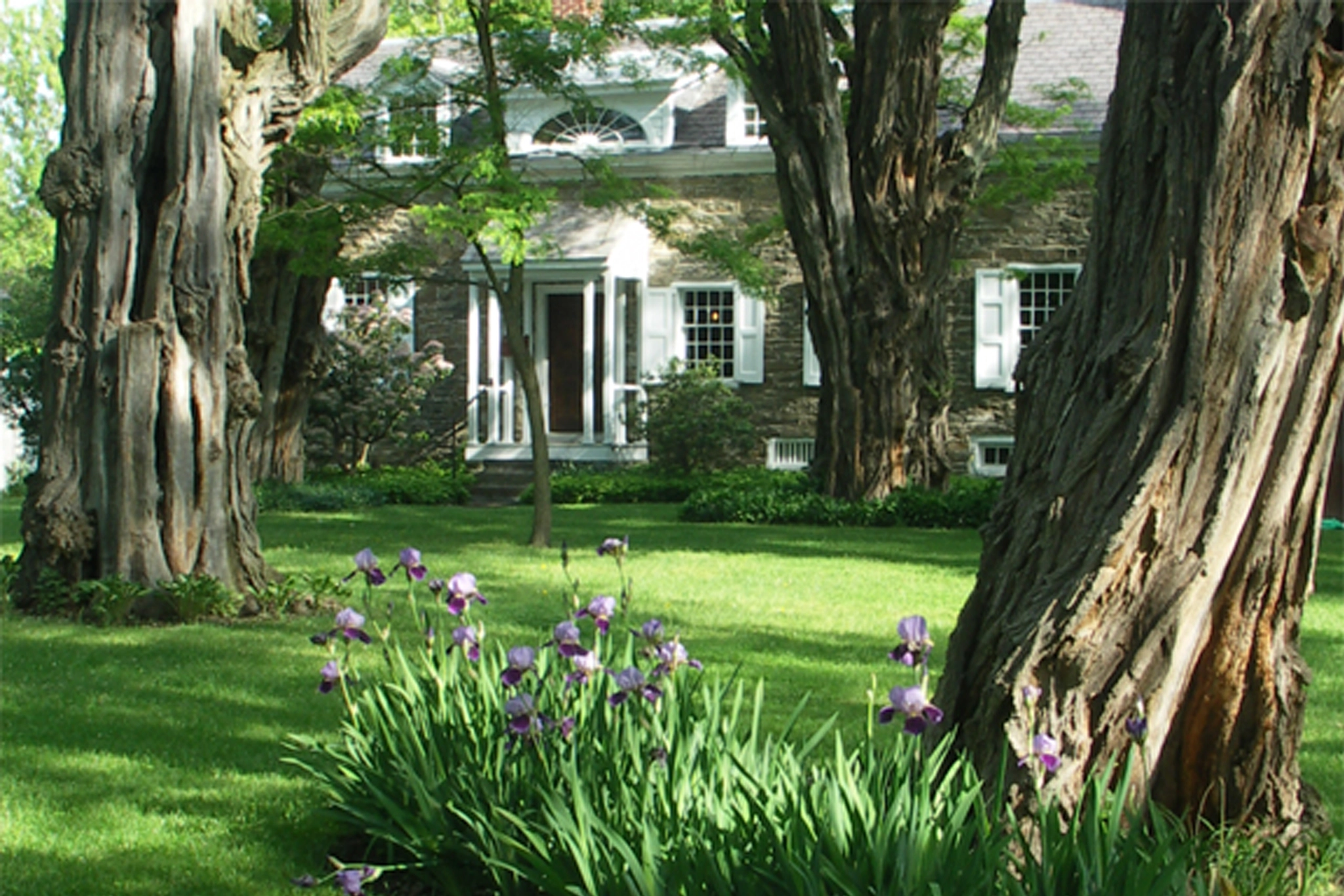Kiersted House Image copy.webp