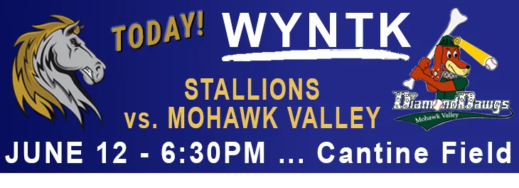 WYNTK - Stallions Home Game NOT TODAY.webp