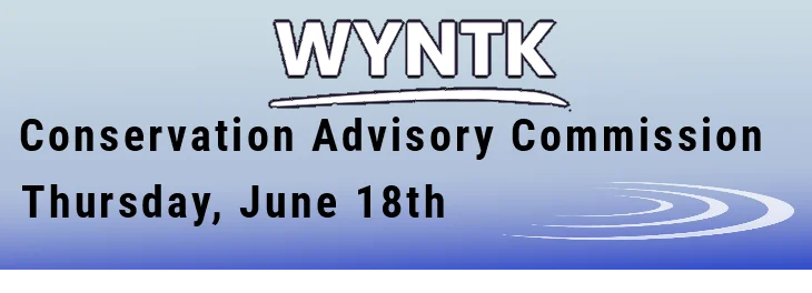 WYNTK - CAC copy.webp