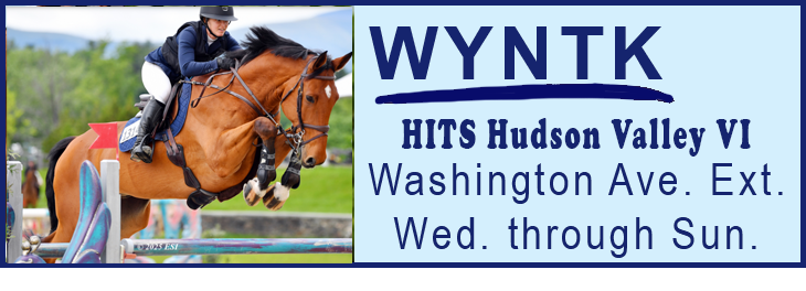WYNTK - HITS HV VI copy.webp