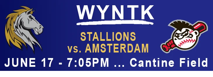 WYNTK - Stallions Home Game Amsterdam copy.webp