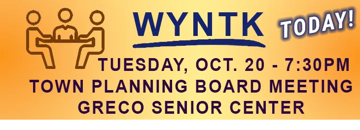 WYNTK - Town Planning Board Meeting copy.webp
