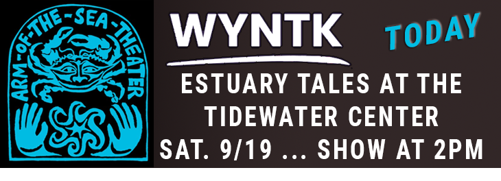WYNTK - AOTS Estuary Tales TODAY.webp