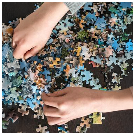 Puzzle Competition copy.webp